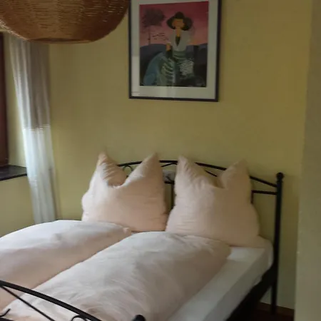 Alte Schreinerei-auberge Harlekin 2* Randegg