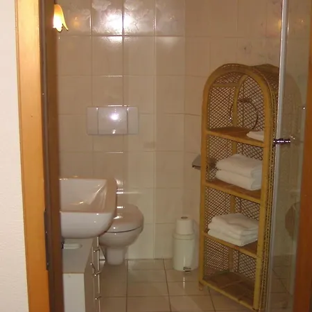 Alte Schreinerei-auberge Harlekin 2* Randegg