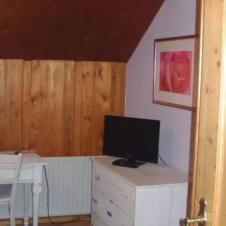 Alte Schreinerei-auberge Harlekin 2* Randegg