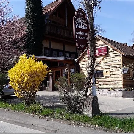 Alte Schreinerei-auberge Harlekin Inn Randegg