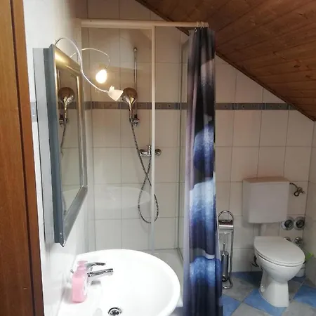 Alte Schreinerei-auberge Harlekin Mini-hôtel 2*